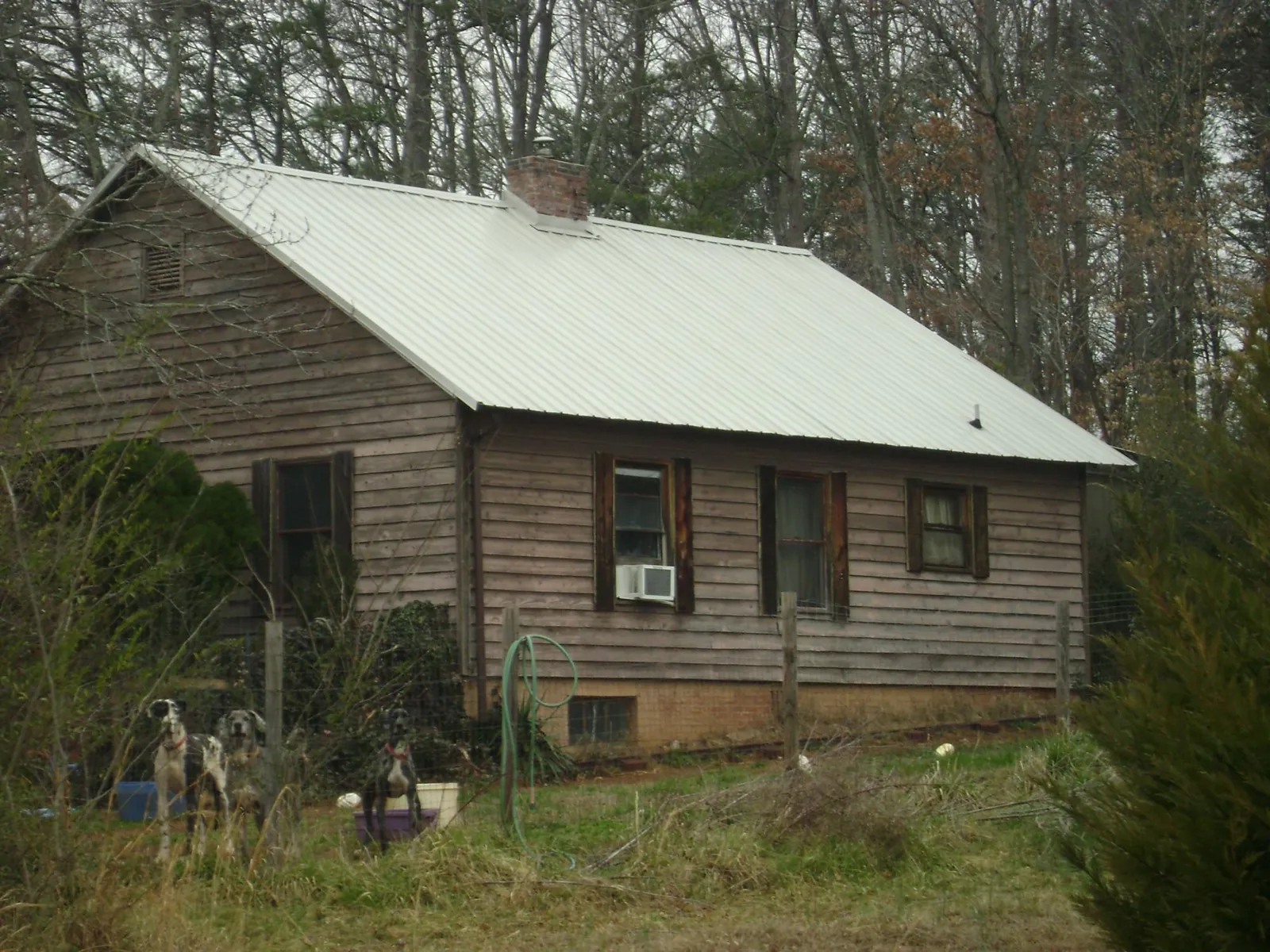 White metal roof on an old wood sided farmhouse, from a Metal Roof Installation job in Butte Falls